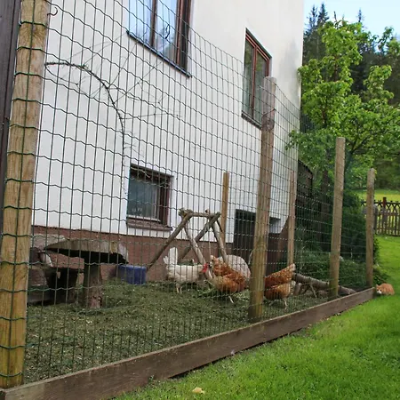 Frieda'S Platzl Apartment Abtenau Exterior photo