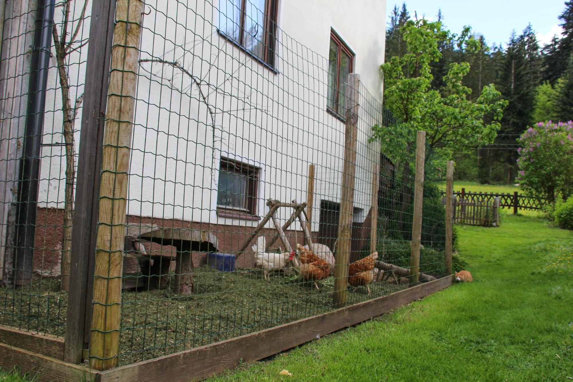 Frieda's Platzl Abtenau